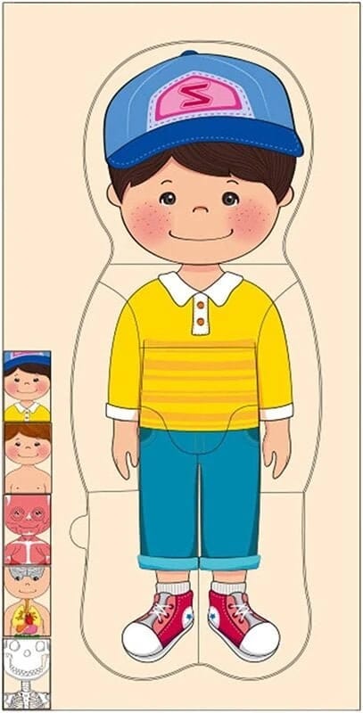 Wooden Human Body Puzzle (Boy)