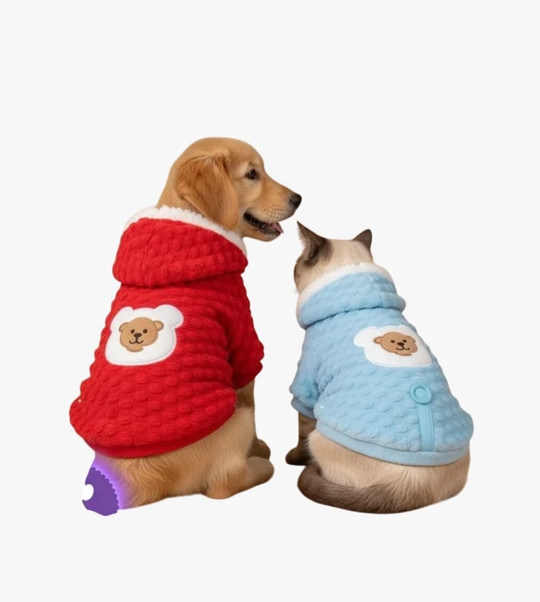 Pet Hoodie with Bear