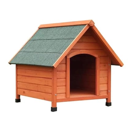 Outdoor Dog House