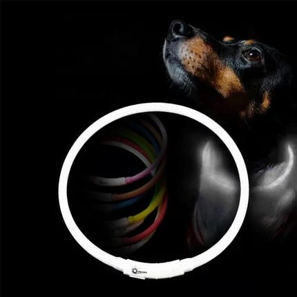 Illuminated Dog Collar