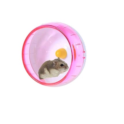 Hamster Wheel