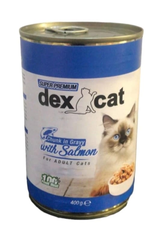 Dix Cat Pieces in Salmon-Flavored Gravy