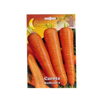 CARROT SEEDS