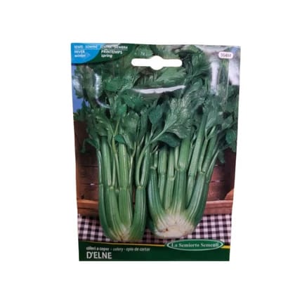 CELERY SEEDS