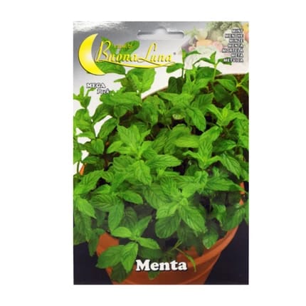 MINT SEEDS
