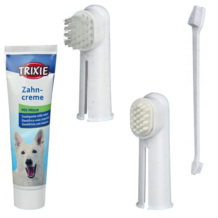 Toothpaste and brushes Trixie 4 pcs.