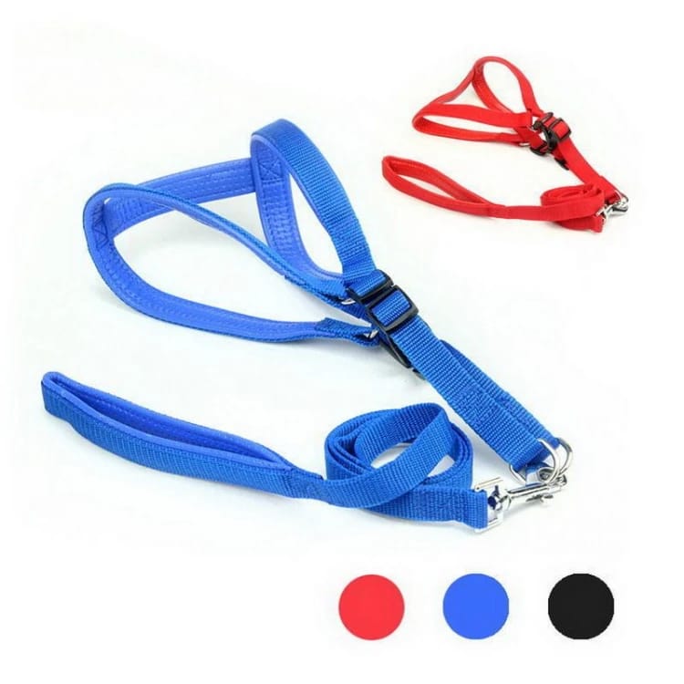 Large dog Harness