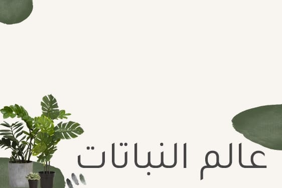 نباتات
