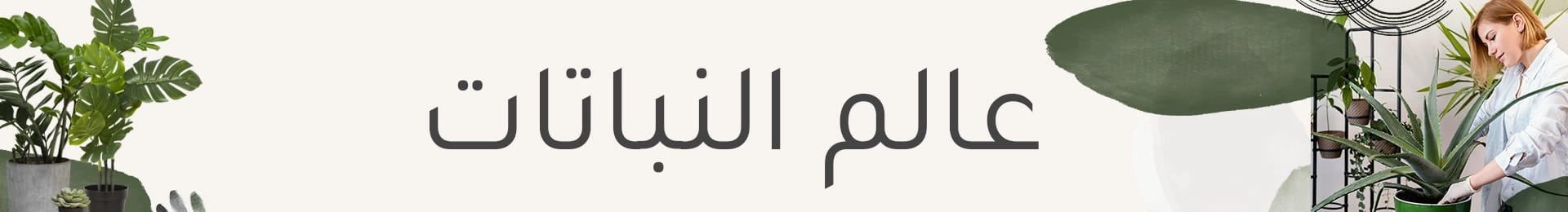 نباتات
