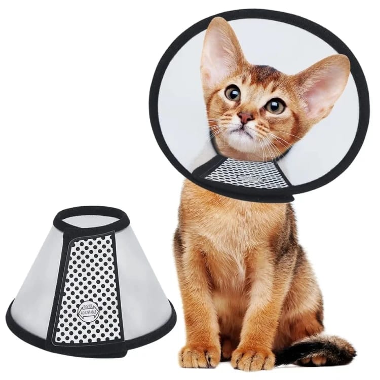 Post-Surgery Cat Collar