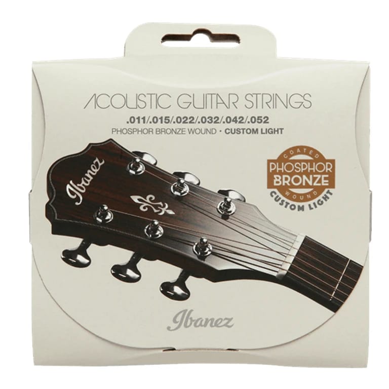 Ibanez IACSP62C Acoustic Steel