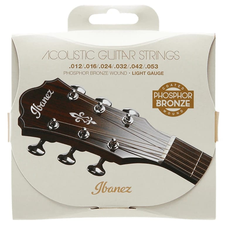 Ibanez IACSP6C Acoustic Steel