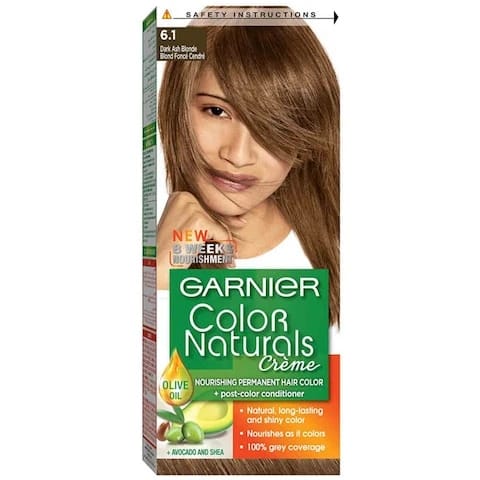 Garnier Hair Color Natural Dark Ash Blonde No.6.1