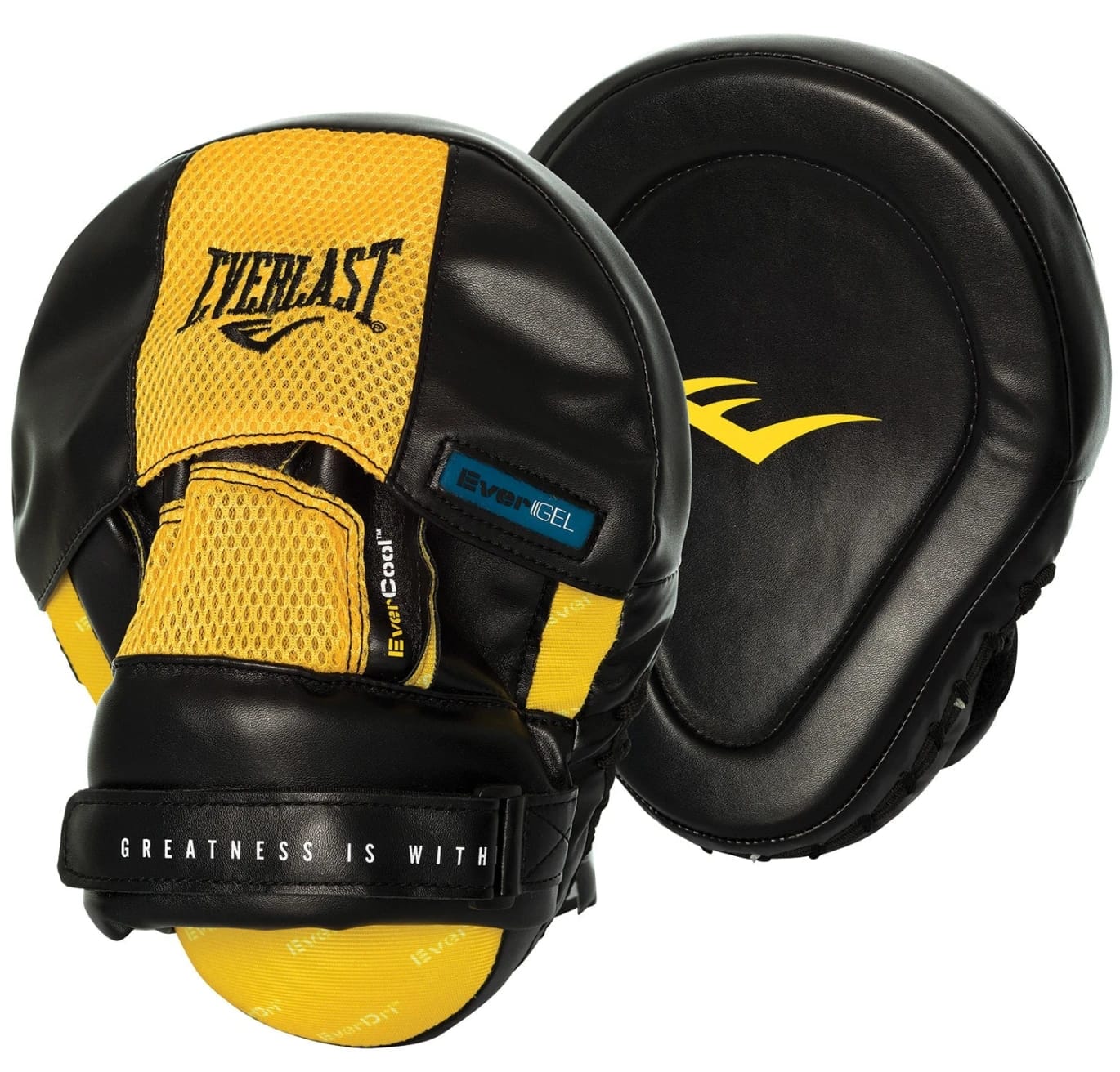 تارجت Everlast الأصلي