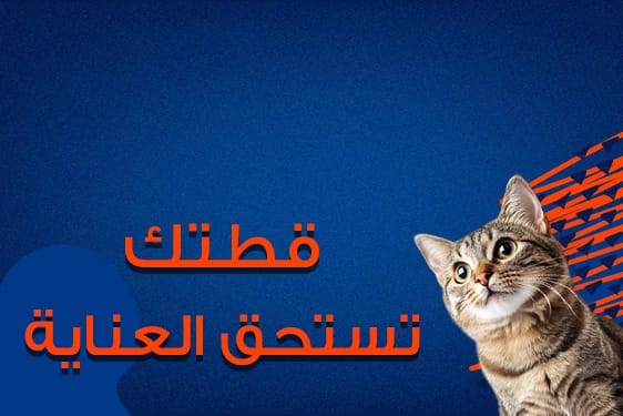cat care