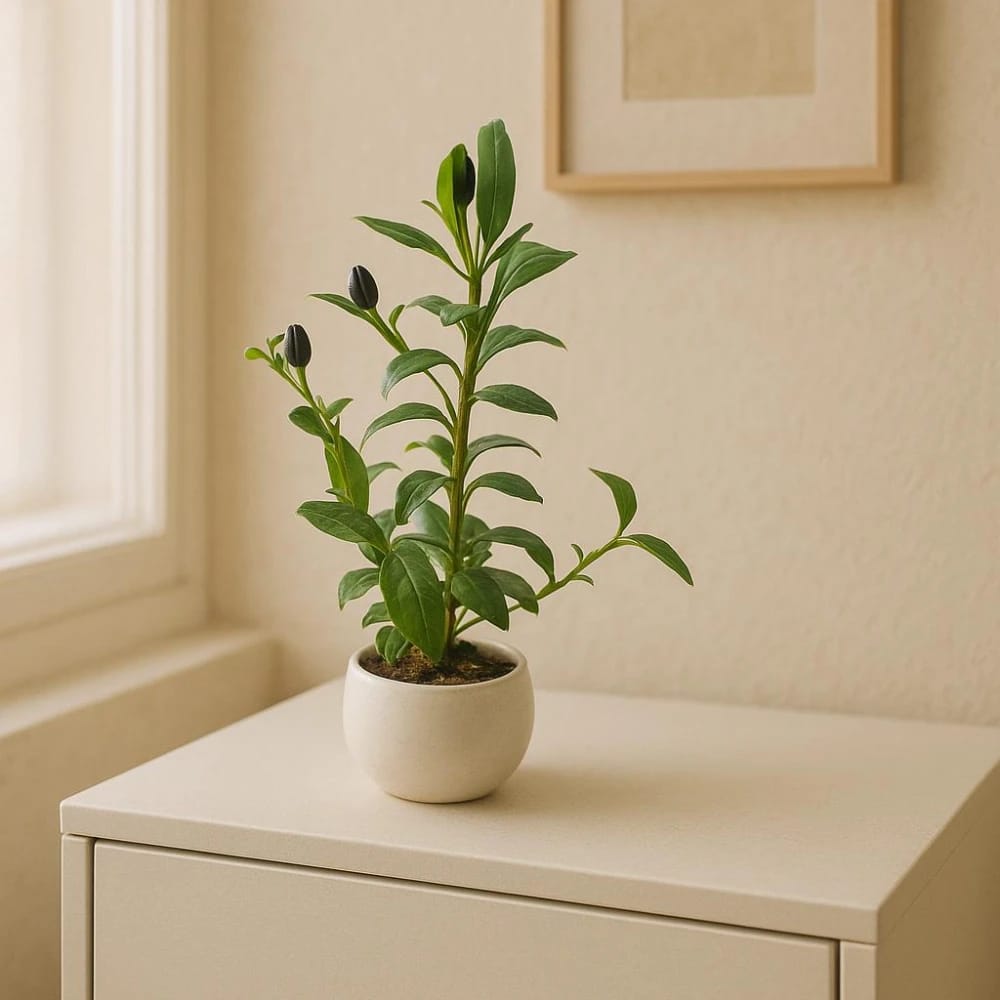 Artificial Plant