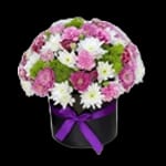 زهور المناسبات