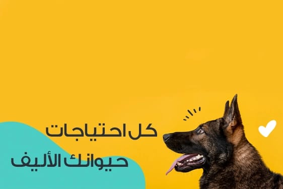 pets 4