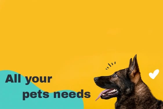 pets 4