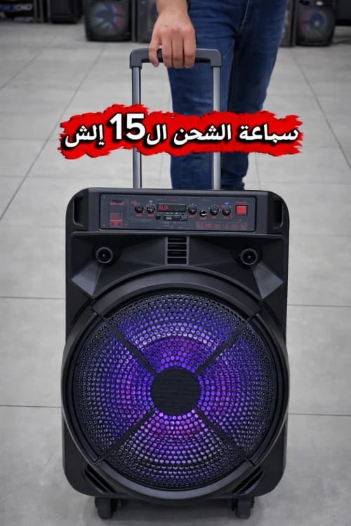 15-Inch Rechargeable Speaker with 2 Wireless Microphones