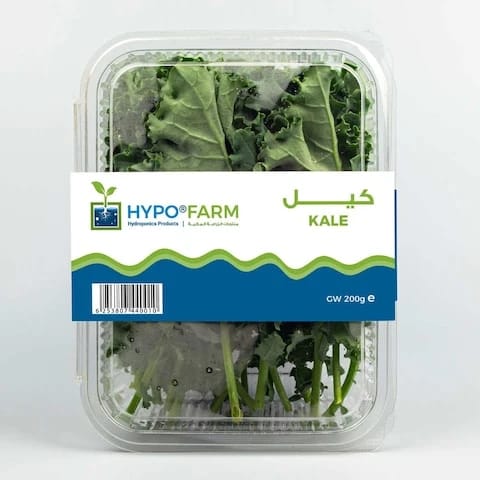 Kale 200 Gram