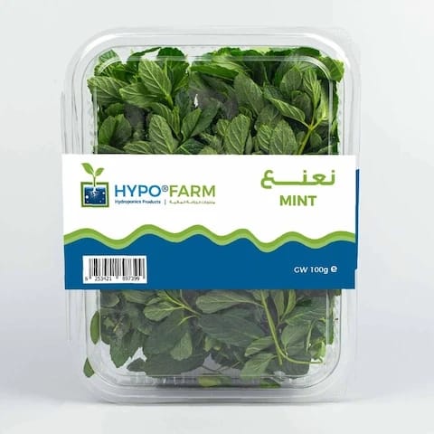 Mint 100 Gram
