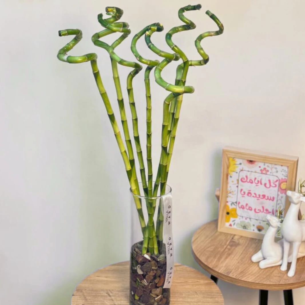 Bamboo Vase – Gift Delivery in Amman | Mother’s Day & Eid
