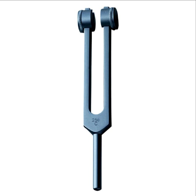 Tuning Fork 256 CPS