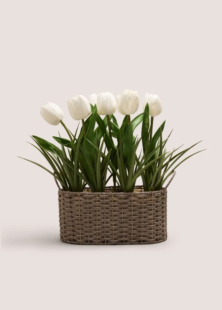 Tulip in Woven Pot - White