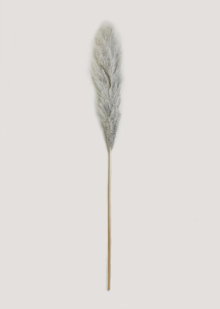 Pampas Grass - Grey