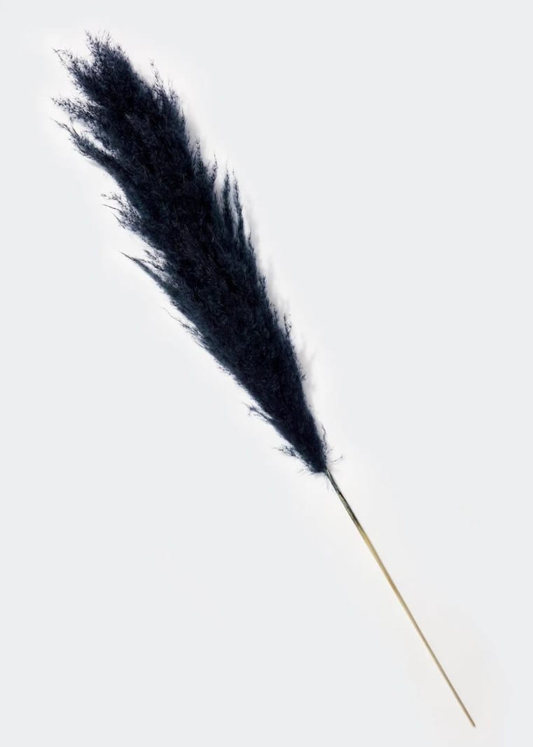 Pampas Grass - Navy