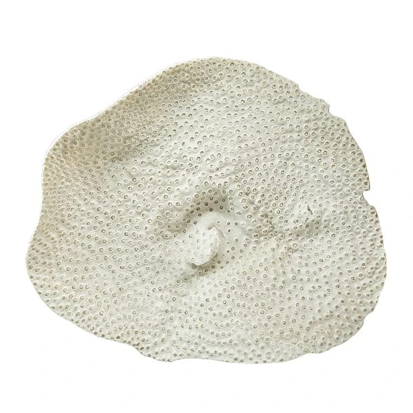 Decor Wall Coral Resin