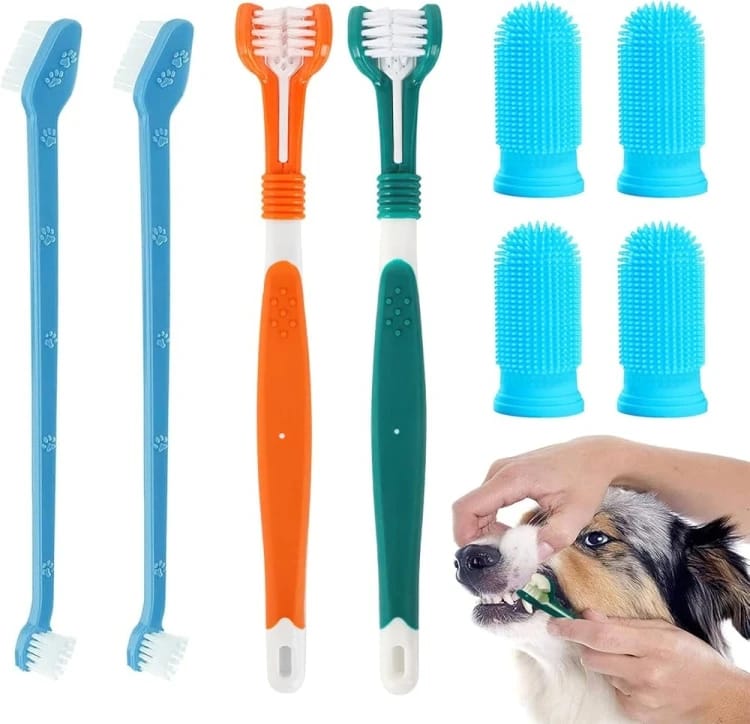 Pet Toothbrush