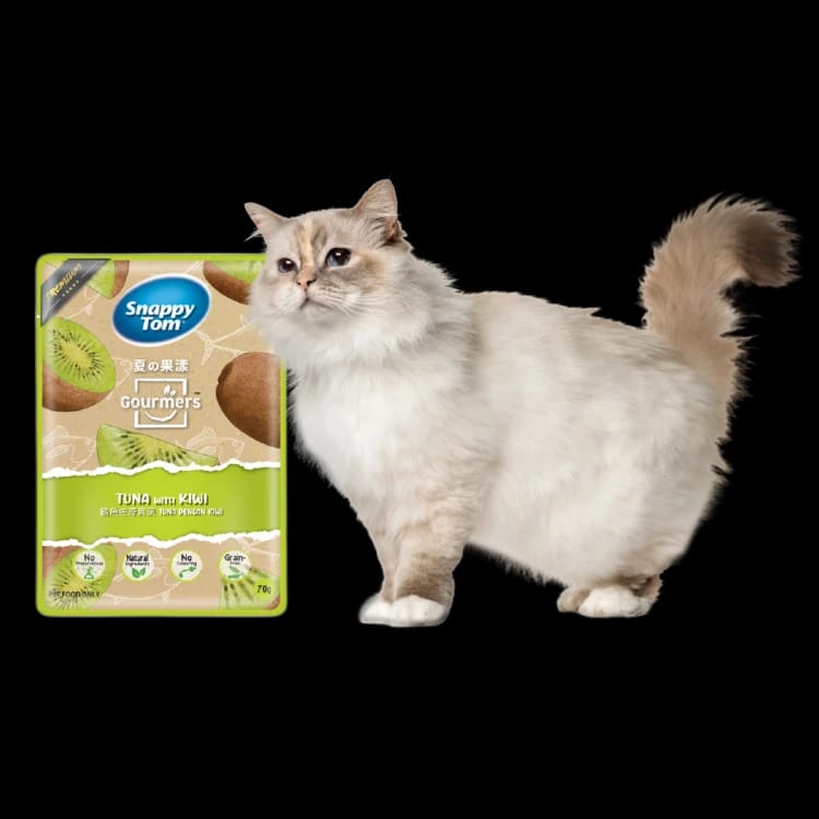 Snappy Tom Tuna with Kiwi 70g