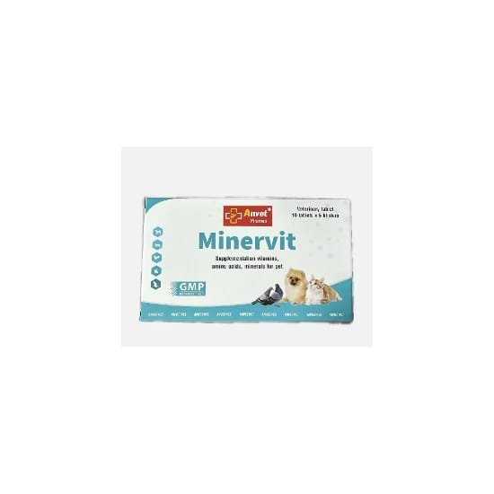 Minervit ANVIT