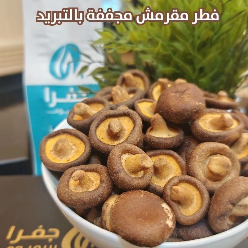فطر مجففة بالتبريد