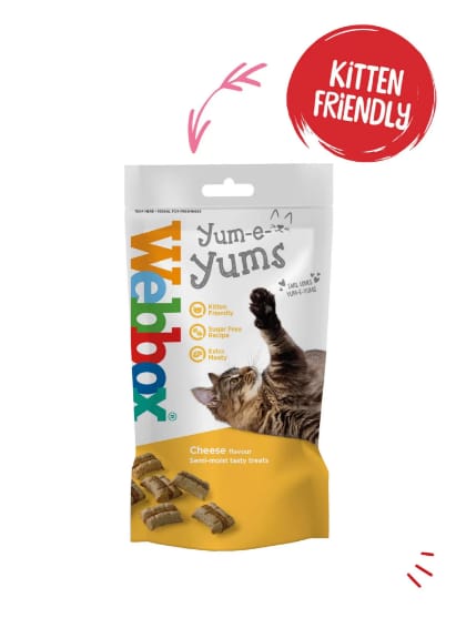 Webbox Yum-e-Yums Cheese 40g
