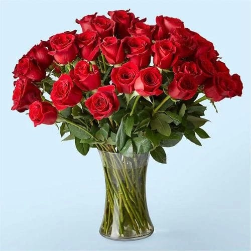 50 Red Roses Vase