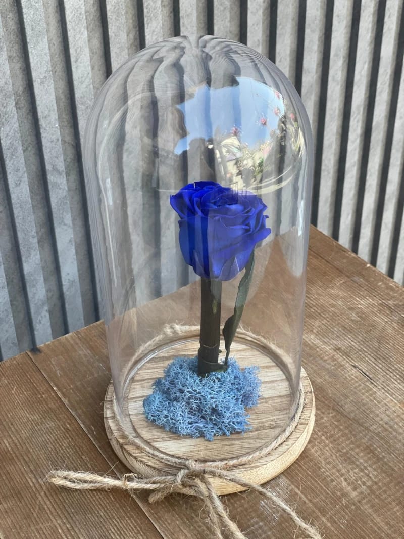 Mummified Blue Rose