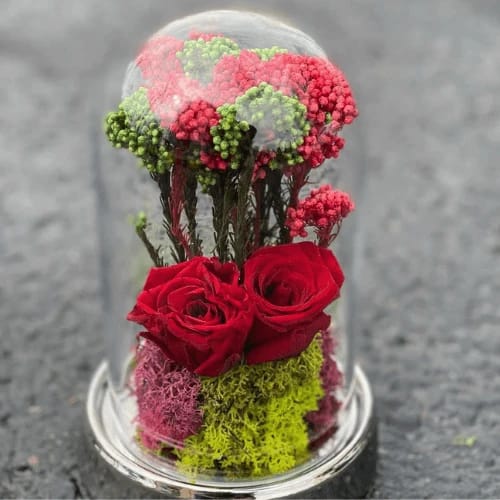Preserved Petal Perfection: Mummified Roses