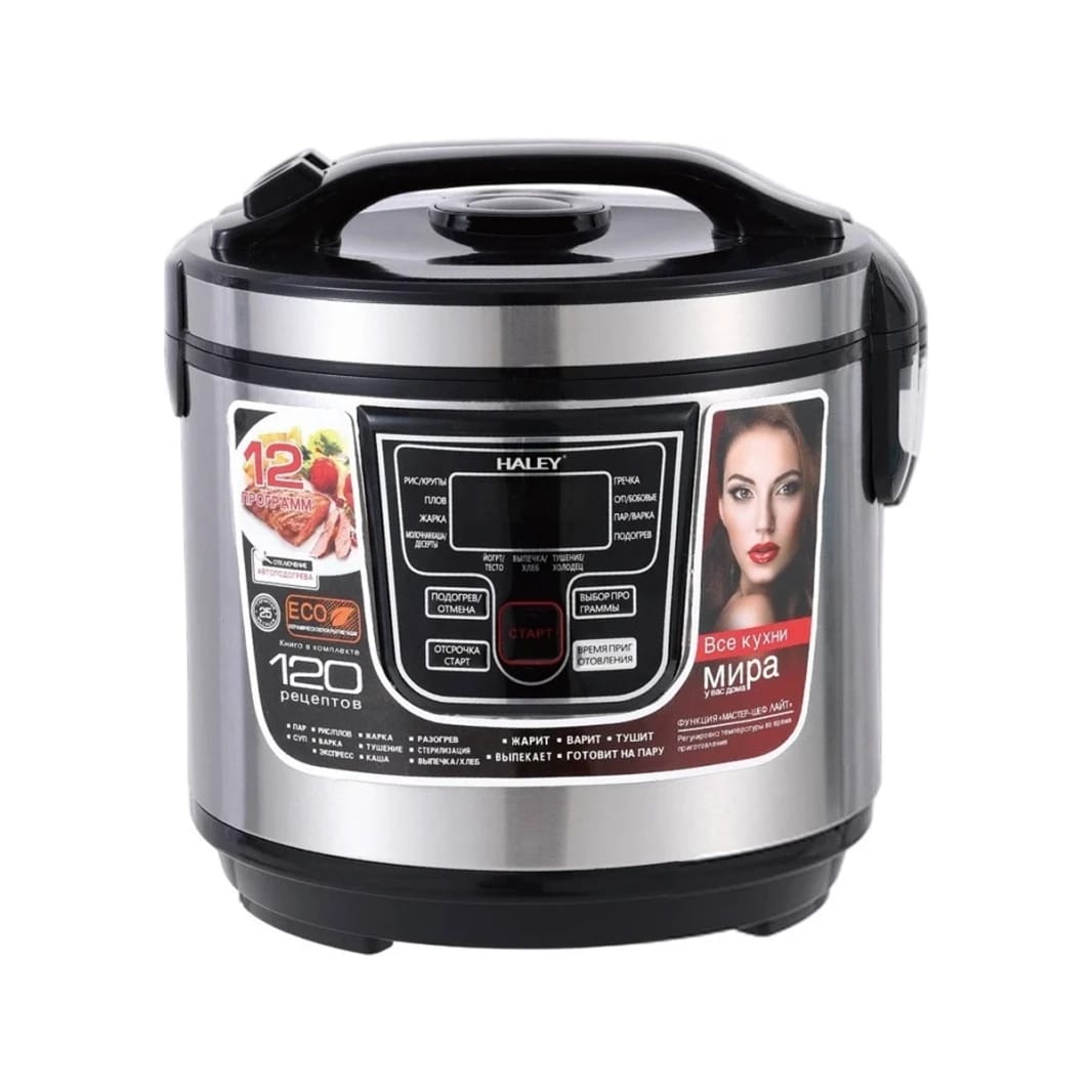 Haley 6L Multi-Function Electric Rice Cooker 1000W