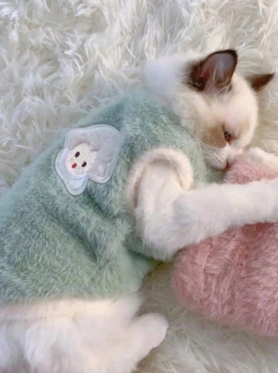 Warm and Comfortable Clothing for Dogs and Cats (S/M)