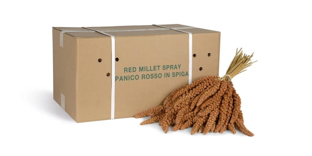 Red Millet Bunches