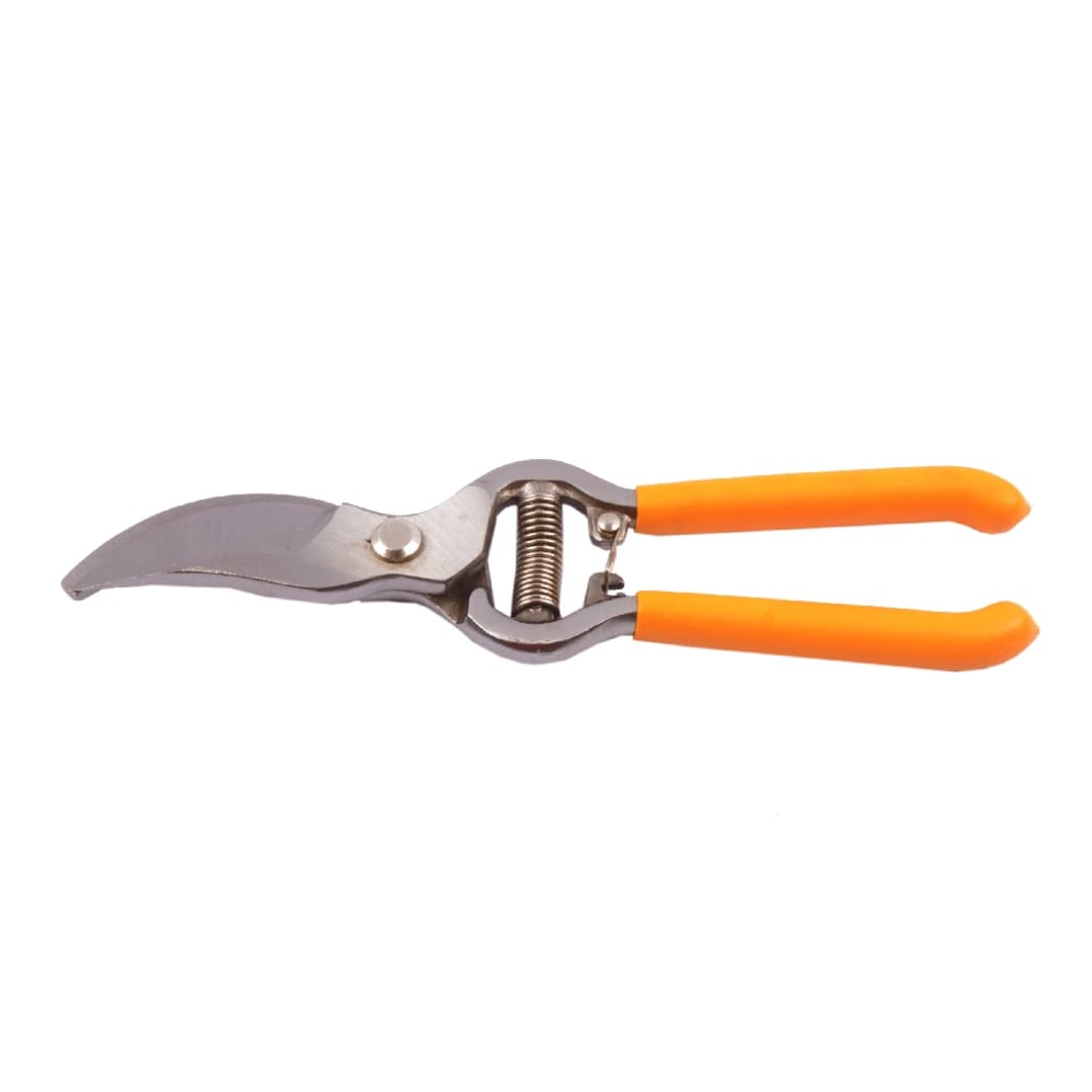 Dingqi Tree Pruning Shears - Various Sizes