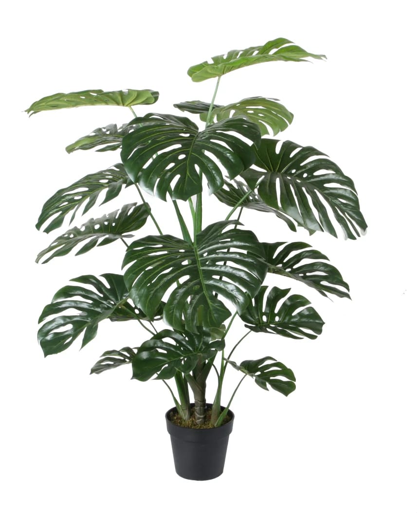 نبات مونيستيرا صناعي - Big Monstera Pole