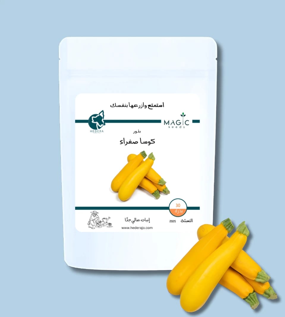 Yellow Zucchini Seeds