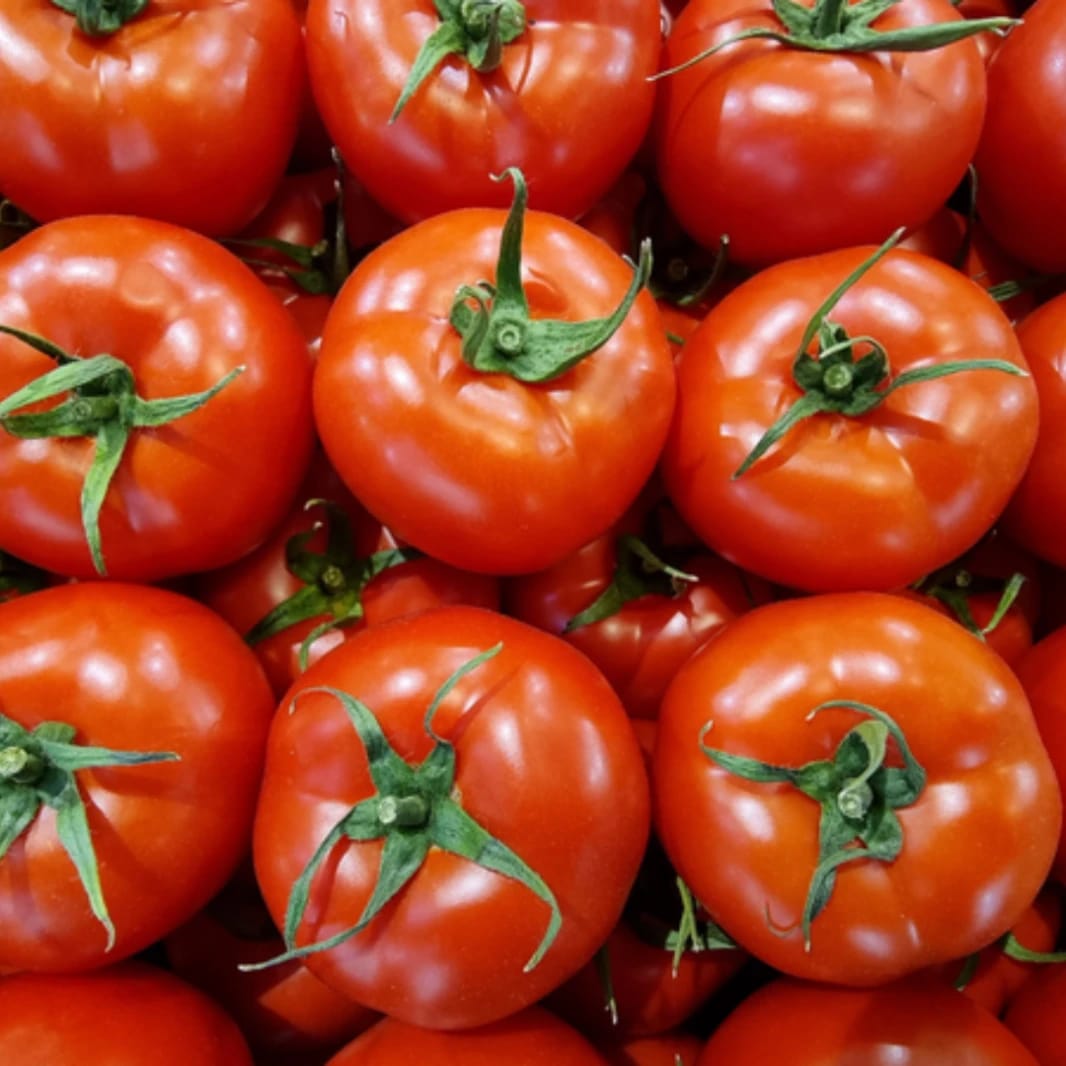 Venicia F1 Tomato Seeds - 1000 Hybrid Seeds