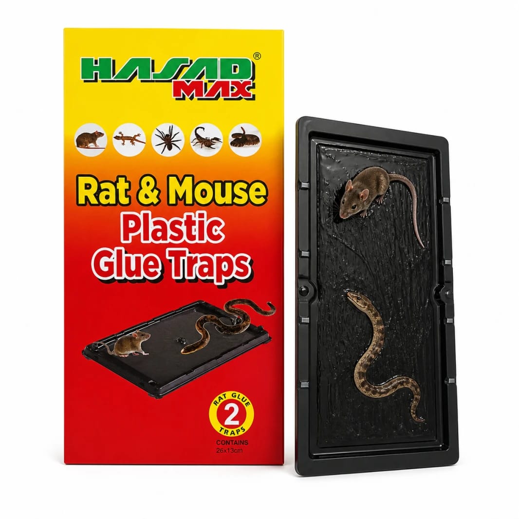 Hasad Max Rat & Mouse Glue Traps - Plastic Adhesive Trap for Rodents and Insects
