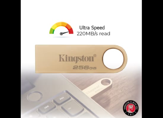 كينجستون داتا ترافيلر SE9 G3 256 جيجابايت USB 3.2