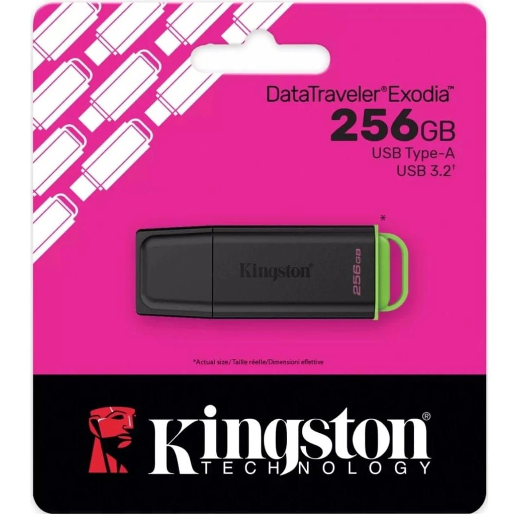 Kingston DataTraveler Exodia USB Type-A Flash Drive 256GB